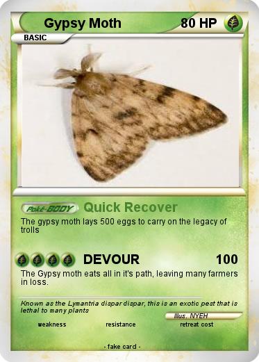 Pokemon Gypsy Moth