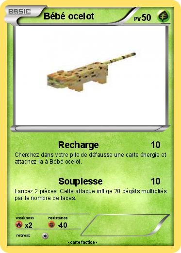 Pokemon Bébé ocelot