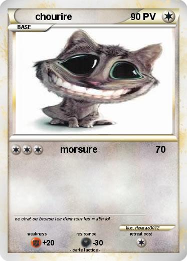 Pokemon chourire
