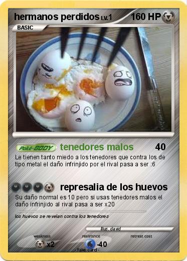 Pokemon hermanos perdidos