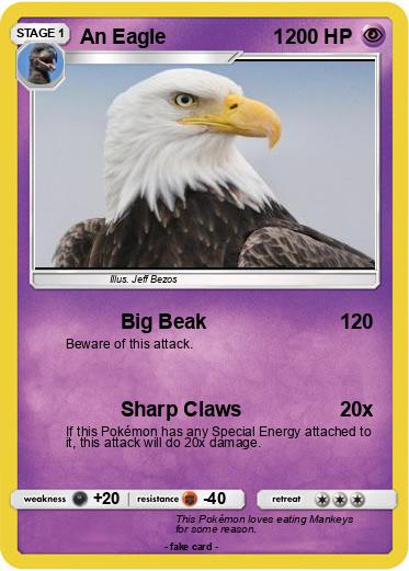 Pokemon An Eagle                   1