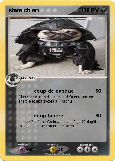 Pokemon stare chien 