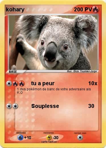 Pokemon kohary