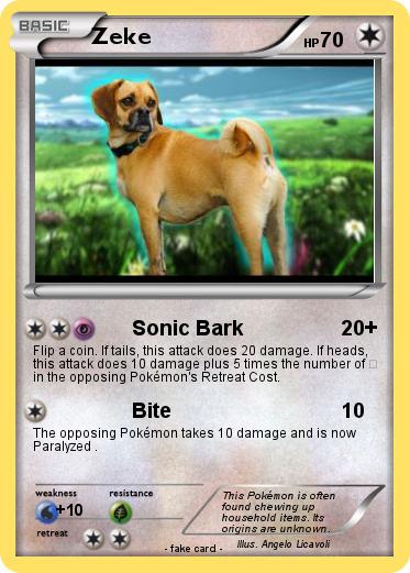 Pokemon Zeke
