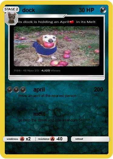 Pokemon dock