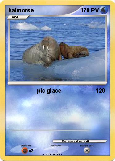 Pokemon kaimorse
