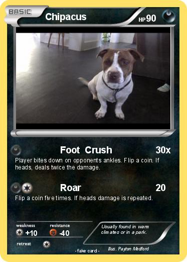 Pokemon Chipacus