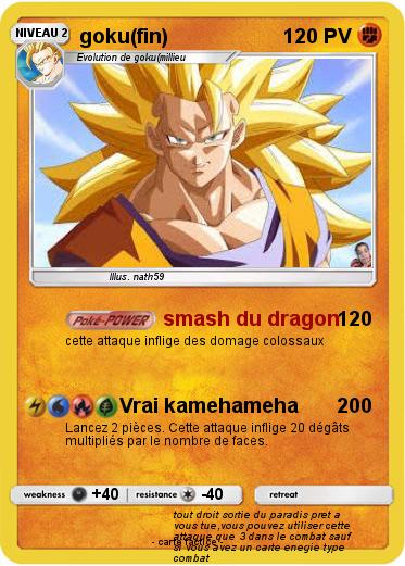 Pokemon goku(fin)
