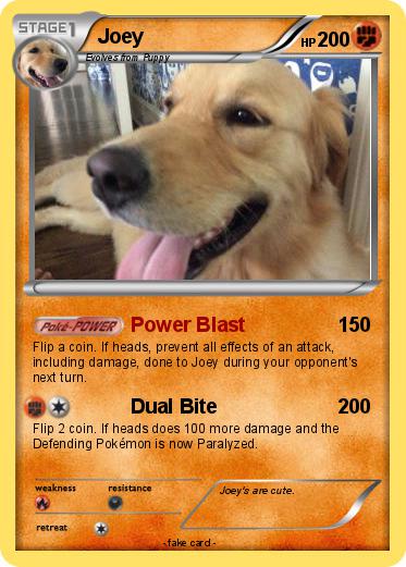 Pokemon Joey