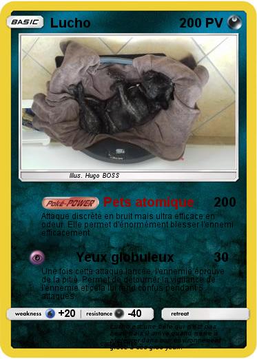 Pokemon Lucho