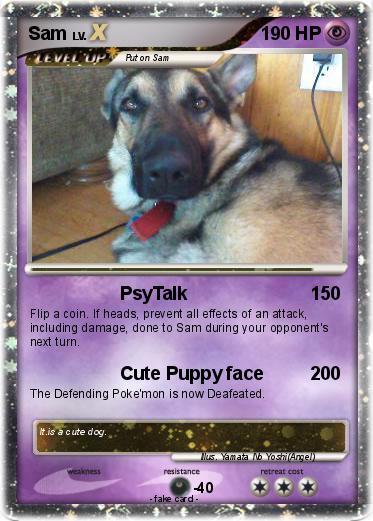 Pokemon Sam