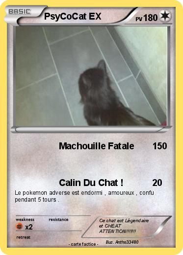 Pokemon PsyCoCat EX