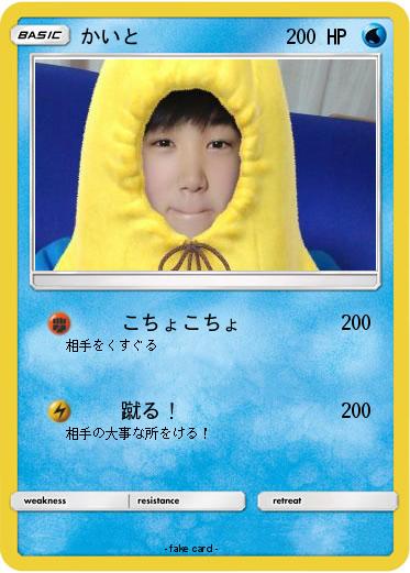 Pokemon かいと