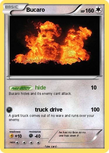 Pokemon Bucaro