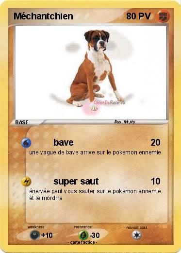 Pokemon Méchantchien
