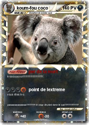 Pokemon koum-fou coco