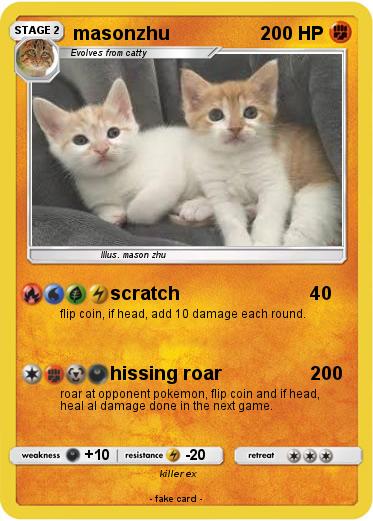 Pokemon masonzhu