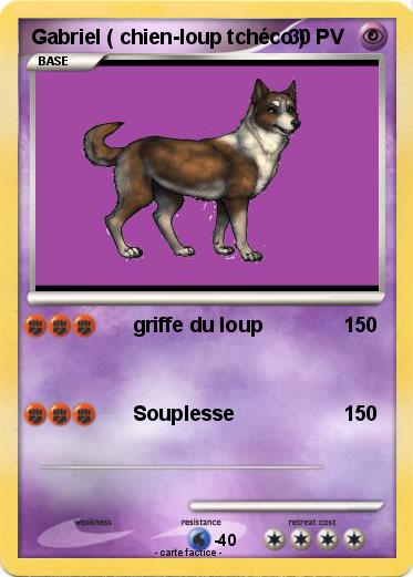 Pokemon Gabriel ( chien-loup tchéco )
