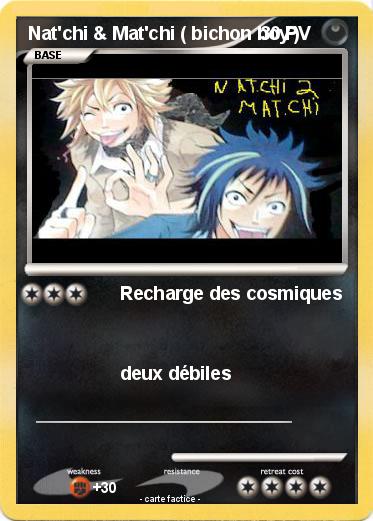 Pokemon Nat'chi & Mat'chi ( bichon boy )