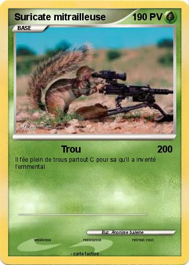 Pokemon Suricate mitrailleuse