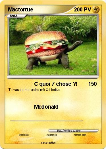 Pokemon Mactortue