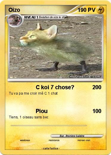 Pokemon Oizo