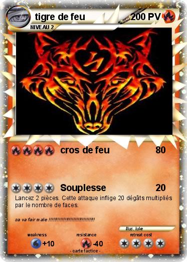 Pokemon tigre de feu