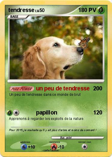 Pokemon tendresse