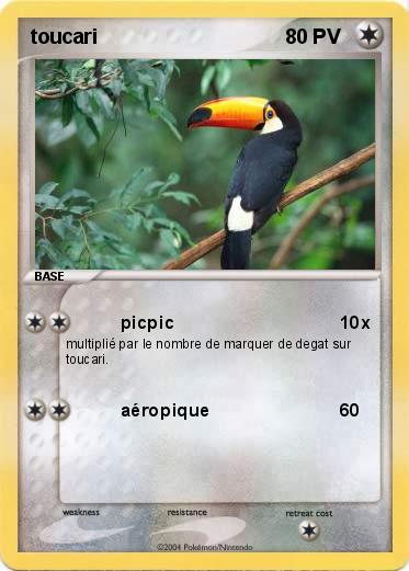 Pokemon toucari