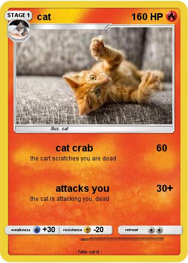 Pokemon cat