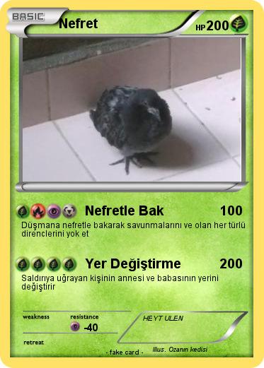 Pokemon Nefret