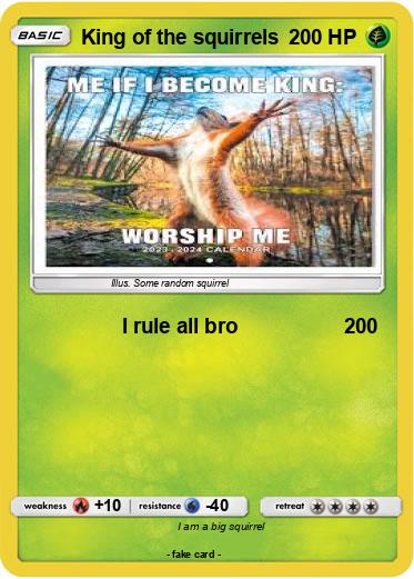 Pokemon King of the squirrels