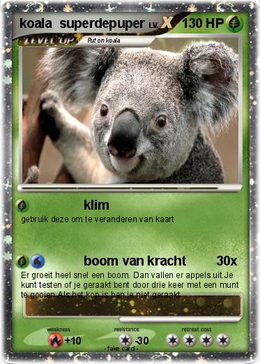 Pokemon koala  superdepuper