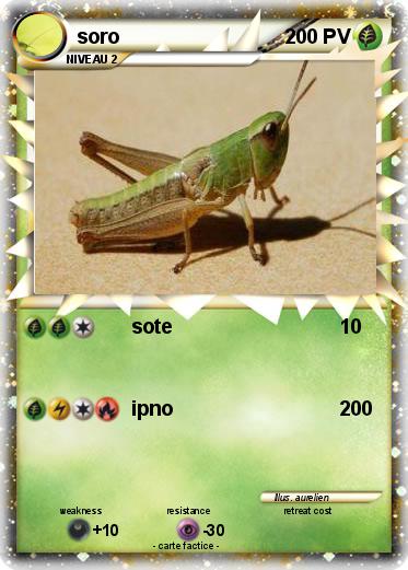 Pokemon soro