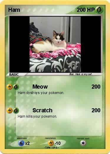 Pokemon Ham