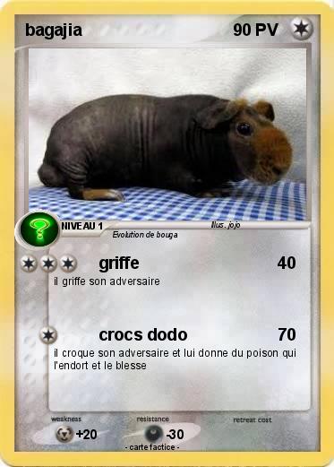 Pokemon bagajia