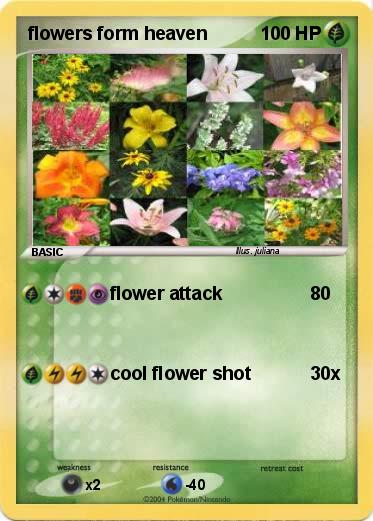 Pokemon flowers form heaven