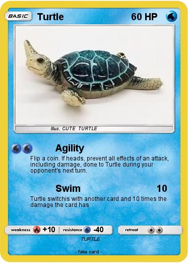 Pokemon Turtle