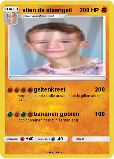 Pokemon stien de steengeit