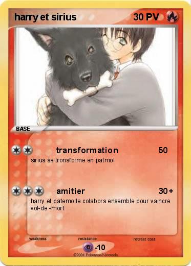Pokemon harry et sirius