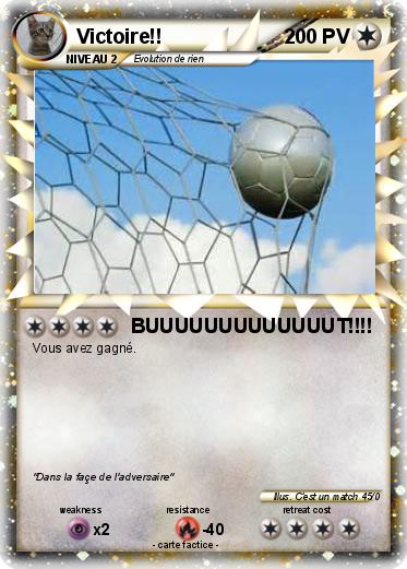 Pokemon Victoire!!