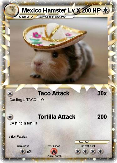 Pokemon Mexico Hamster Lv X