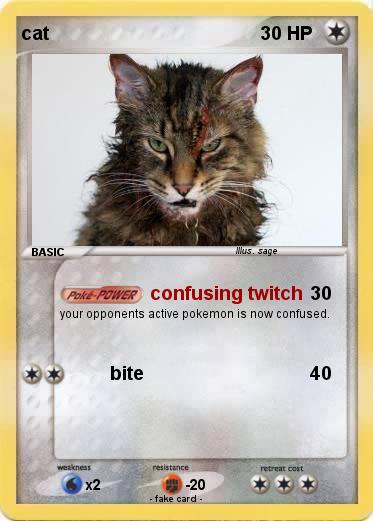 Pokemon cat