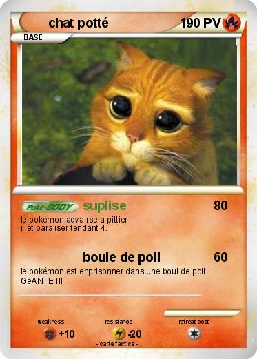 Pokemon chat potté