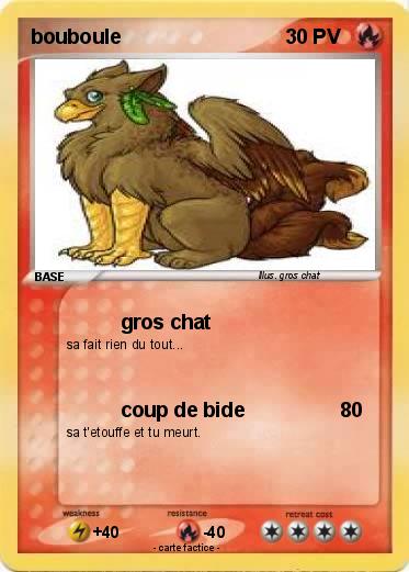 Pokemon bouboule