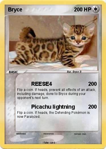 Pokemon Bryce