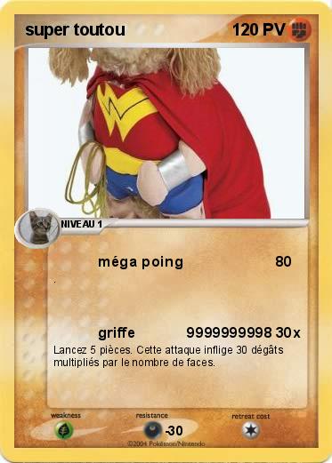 Pokemon super toutou