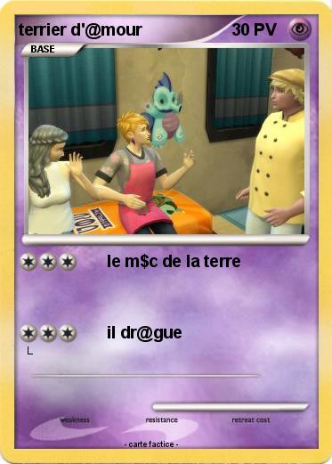 Pokemon terrier d'@mour