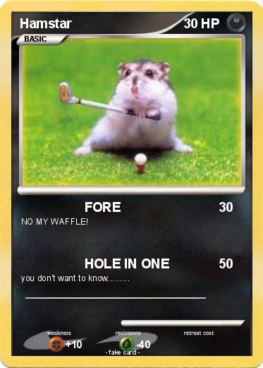 Pokemon Hamstar