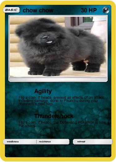 Pokemon chow chow
